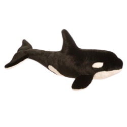ORCA Stufie